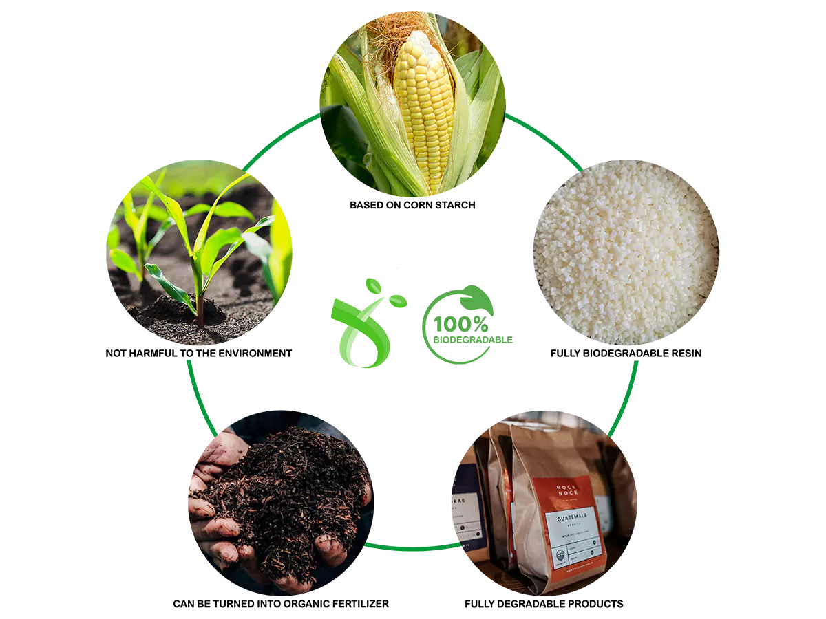 why choose biodegradable bags.webp