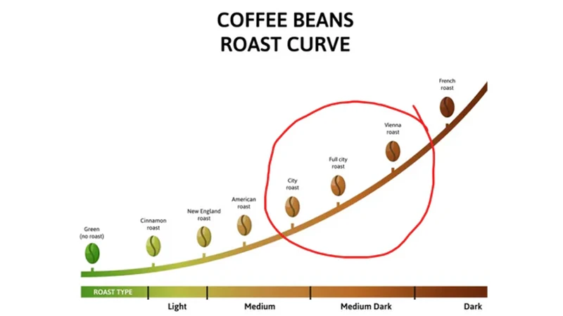 coffee beans roast curve