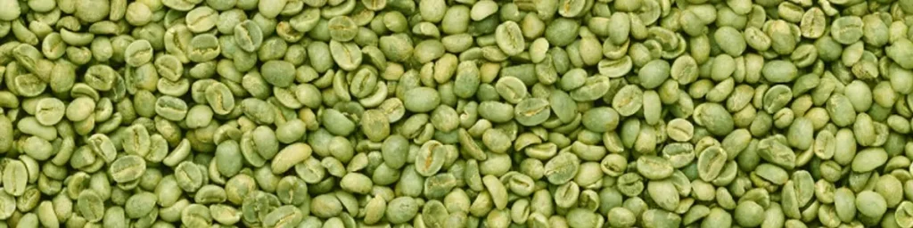 green coffee beans