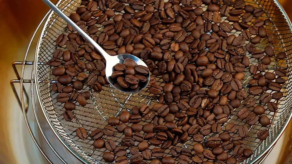 how to determine the freshness of coffee beans