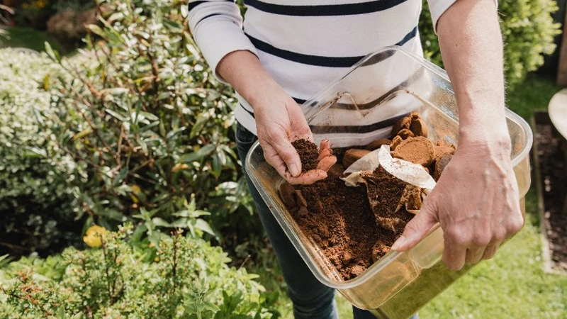 Do Coffee Grounds Help Plants