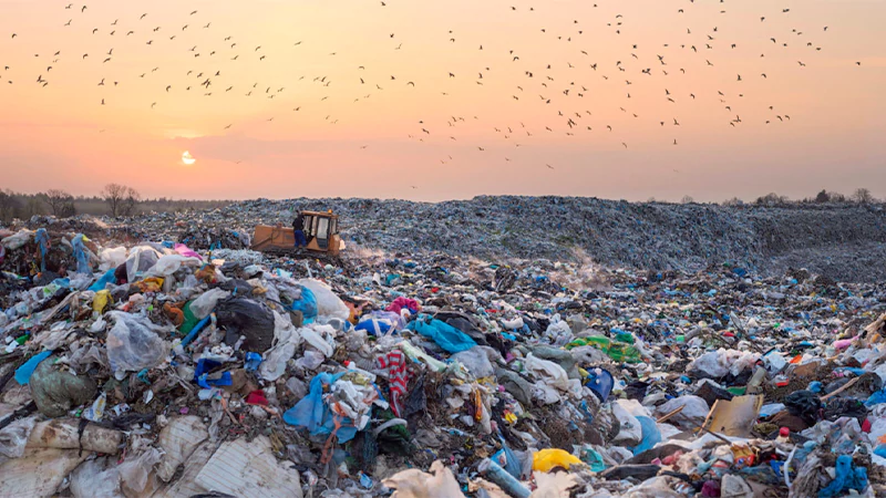 Plastic Waste