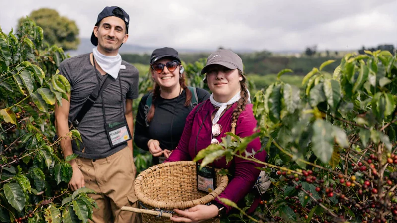 A Roaster's Guide to Ethically Sourced Coffee Beans