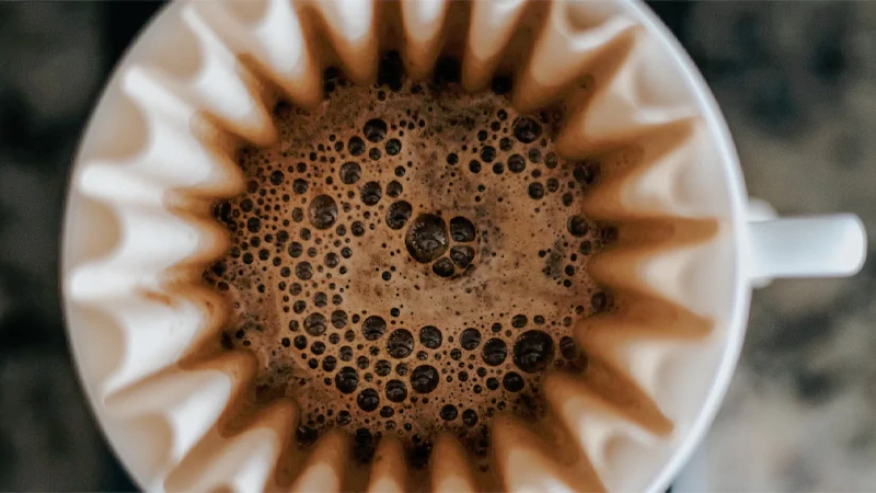 Coffee Bloom