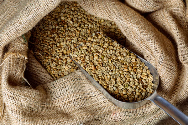 Coffee CGA