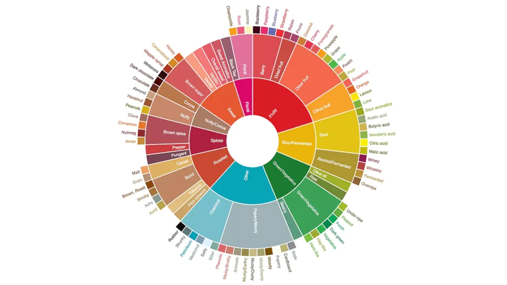 Coffee Flavor Wheel