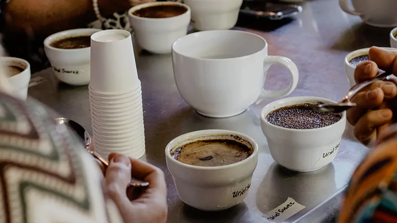 Coffee tasting