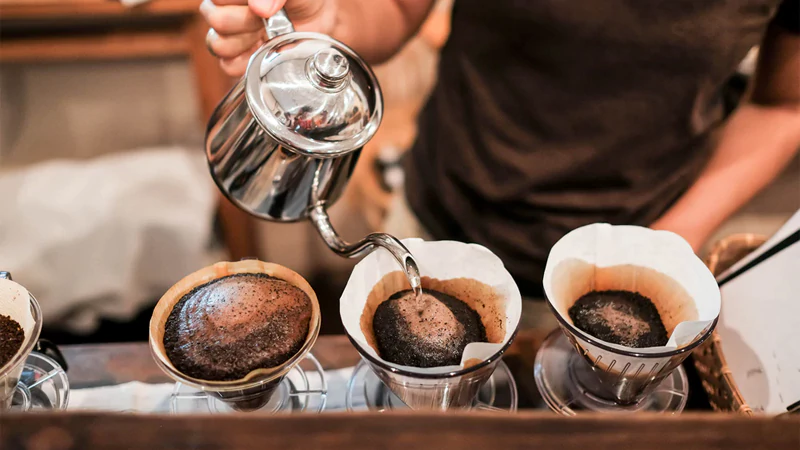 How Roasting Transforms Chlorogenic Acid