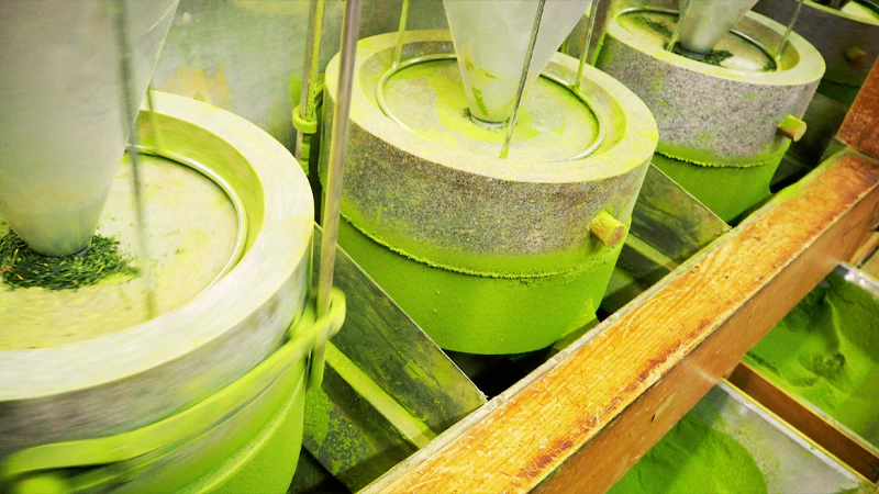 How is Matcha Powder Made