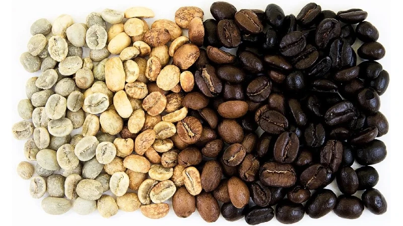 How Heat Transforms the coffeeBean