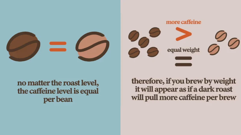 Light Roast vs Dark Roast Which Coffee Truly Has More Caffeine (1)
