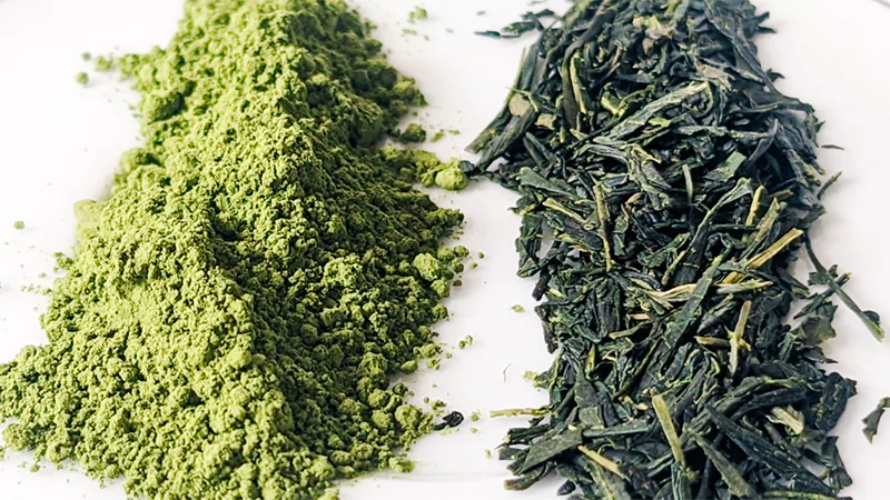Matcha tea vs Green Tea