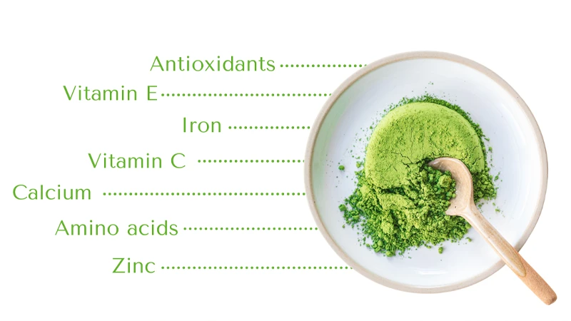 Matcha's Health Benefits
