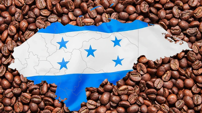 Roasting Honduran Coffee Beans
