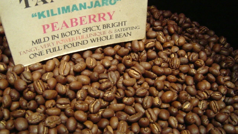 Roasting Peaberry Coffee Beans