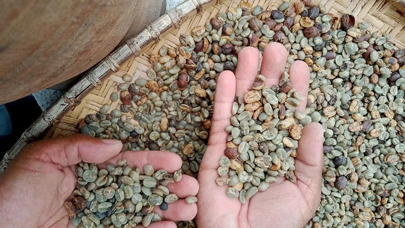 Styles of Anaerobic Coffee