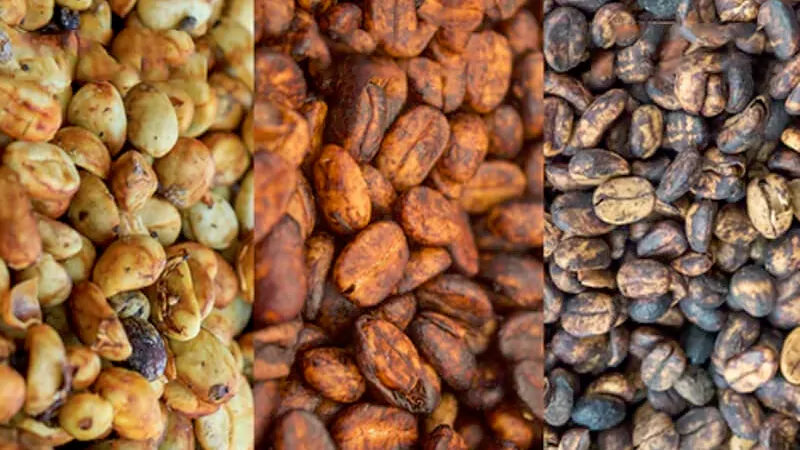 What are red and black Honey Processed Coffee beans