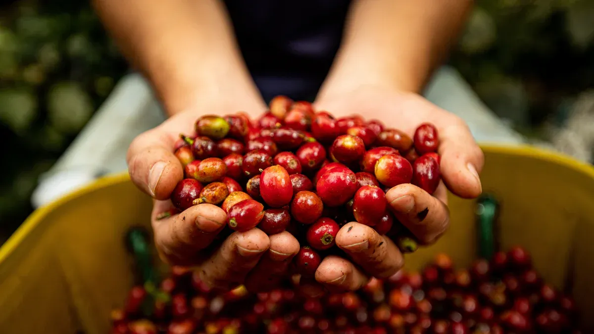 What is Colombian coffee