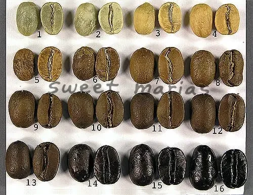 pictorial roasting guide