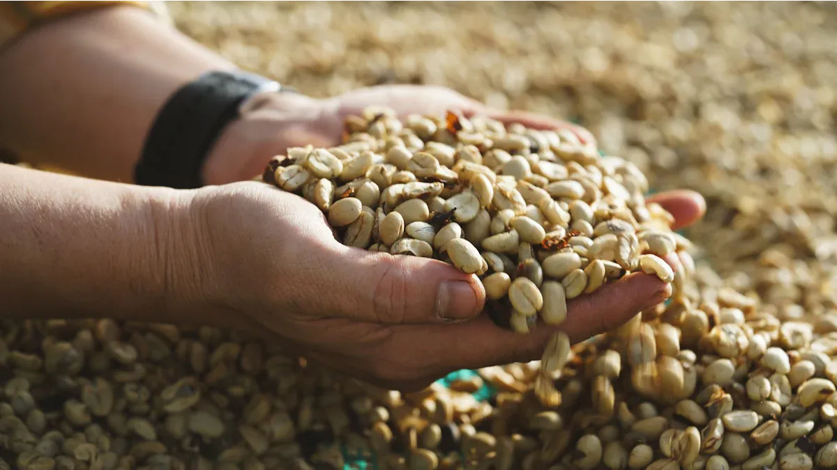 Cultivation and harvest
