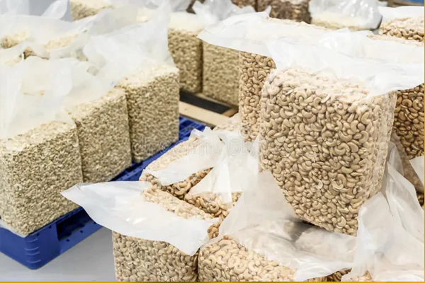 Cashew Nut Export Packaging