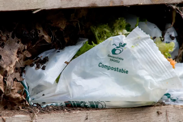 Compostable Packaging Bags