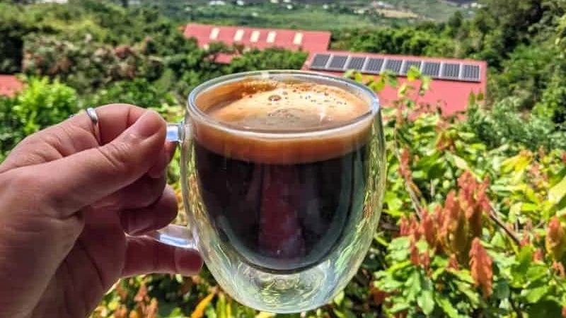 Hawaii coffee