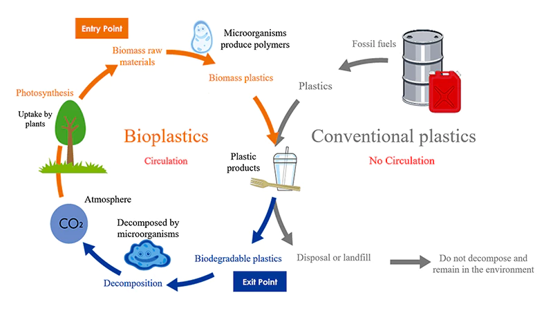 How Are Bioplastics Made