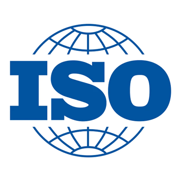 ISO Icon