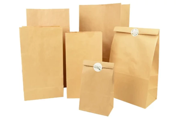 Kraft Paper Cookie Bags
