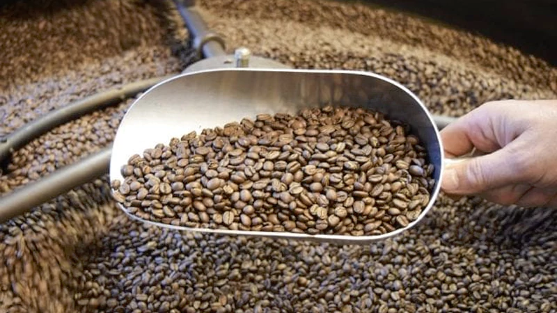 Tanzania vs Rwanda Coffee Beans