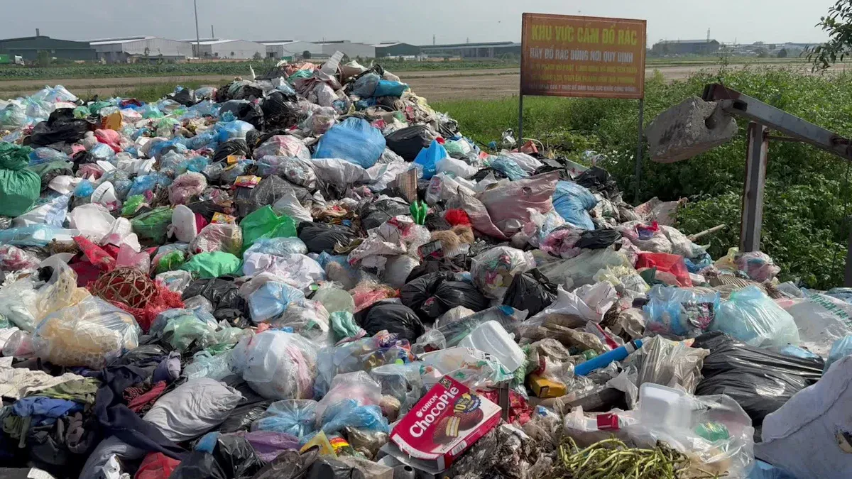 Do Compostable Bags Break Down in Landfills