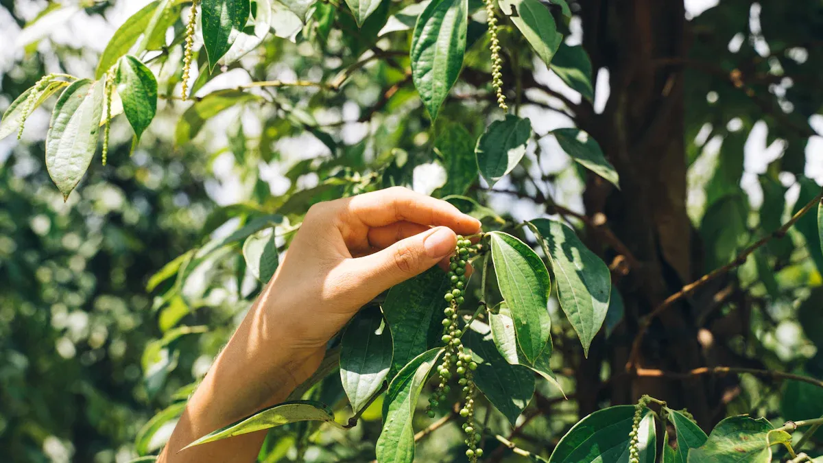 Sustainability Practices