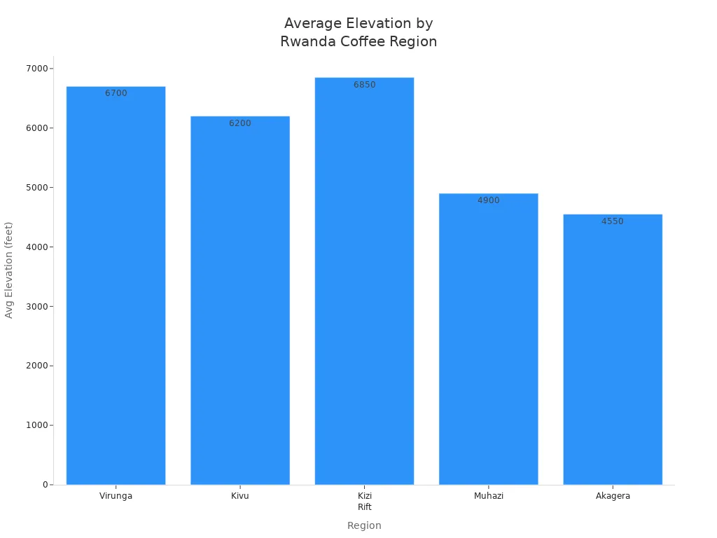 Bar chart showing average elevation for five Rwandan Bourbon coffee regions