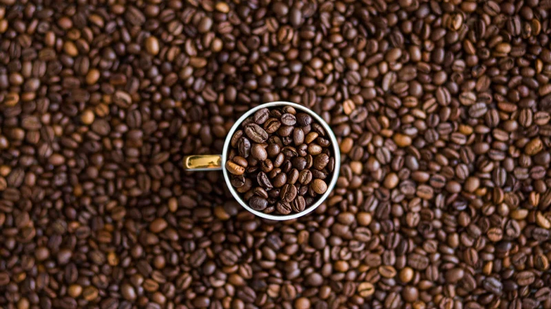 mocha java coffee bean