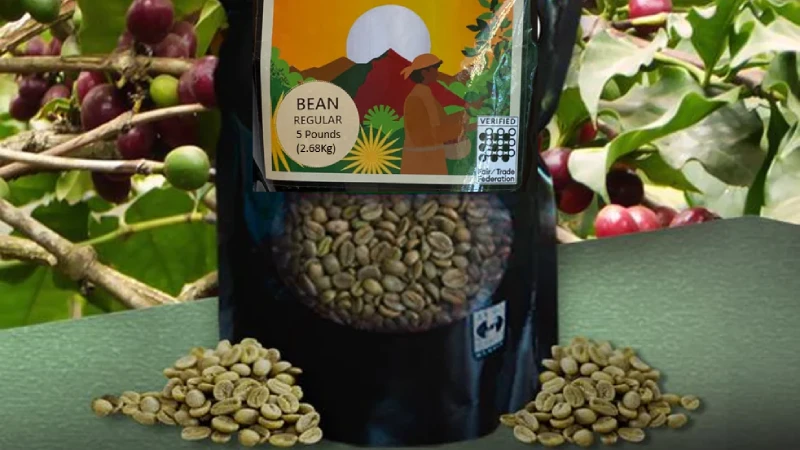 green coffee bean pouches (1)