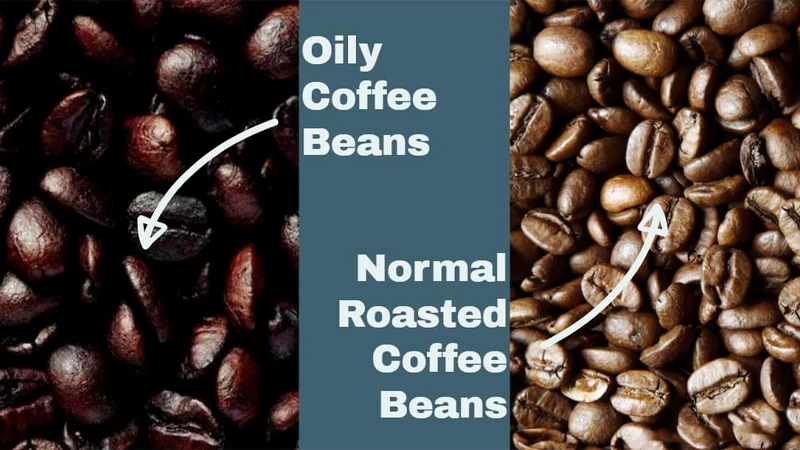 Coffee Beans Oily